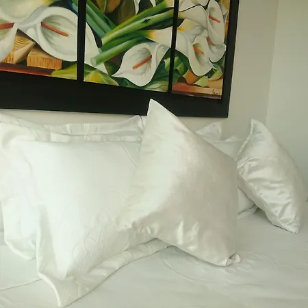 Apartamento Apartamento Palmetto Eliptic Cartagena