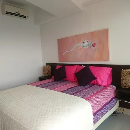 Apartamento Palmetto Eliptic *