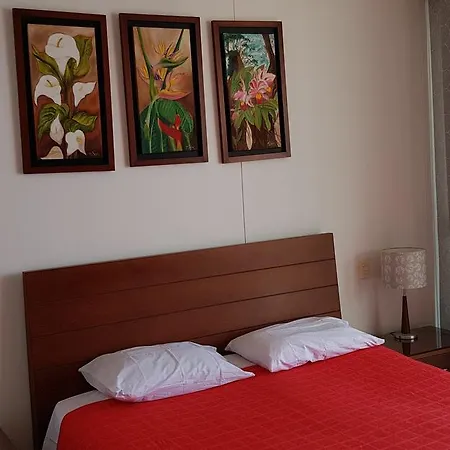 Apartamento Palmetto Eliptic